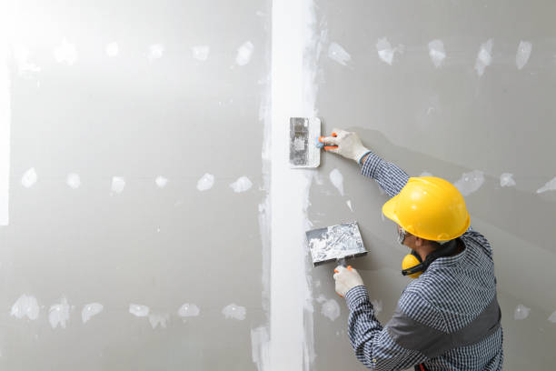 Best Residential Mold Inspection & Testing  in USA